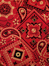 Load image into Gallery viewer, Pink Paisley Bandana (MEDIUM)